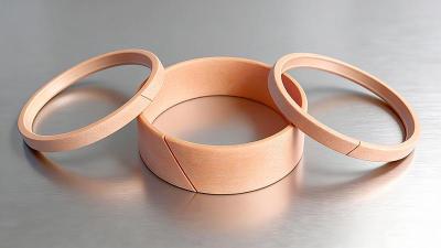 高低温导向环DST3密封件厂家