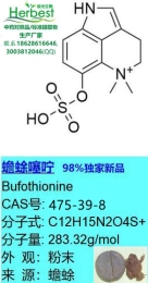 蟾蜍噻咛 辰光独家新品直发