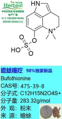 蟾蜍噻咛 辰光独家新品直发