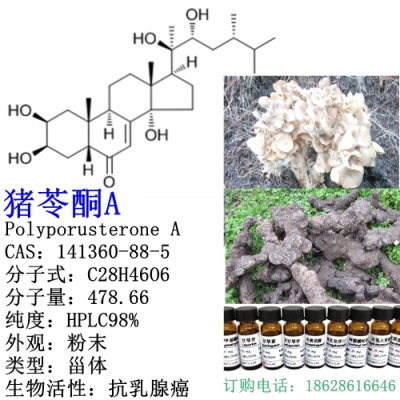猪苓酮A  141360-88-5 中检所同批次现货