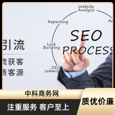 海南品牌商品网络营销推广公司都有哪些