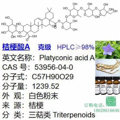 桔梗酸A 68051-23-0 克级现货直发