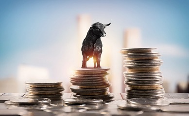 张家口晚籼稻其货开户流程是什么