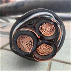 河北辛集  低压电缆回收发电电缆回收