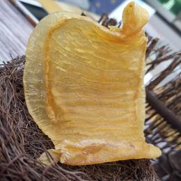 东莞批发花胶鱼胶东莞赤嘴鳘鱼胶批发