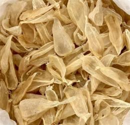 东莞花胶批发广州批发花胶深圳花胶批发