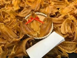 东莞批发花胶鱼胶东莞齿嘴鳘鱼胶批发