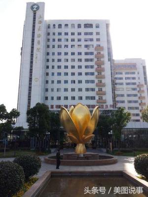 上海六院专家魏丽提前排队快人一步