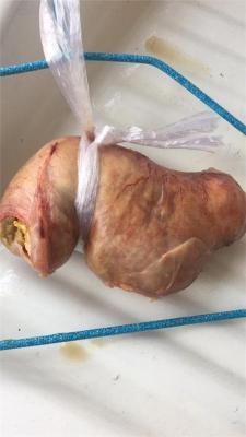 滨州猪宝拍卖多少钱一斤