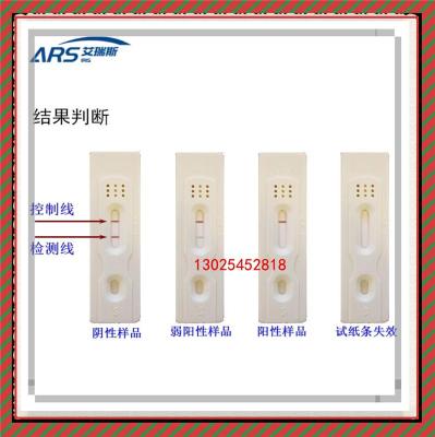 好口碑的食品中呕吐毒素的快速检测 胶体金免疫层析法