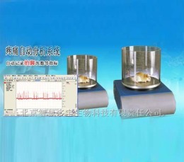 疼痛自动分析系统