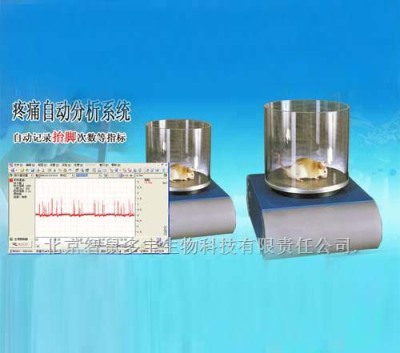 疼痛自动分析系统
