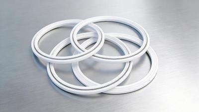 广东东莞液压弹簧四氟密封环密封件厂家