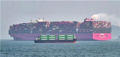 热议美国双清到门专业企业，哪个品牌性价比高