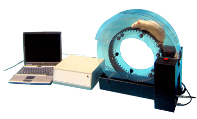 动物平板跑步机