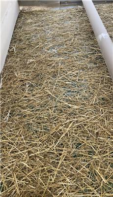 支招宁夏环恒草毯，原材料质量、适用场景和细菌滋生问题怎么选