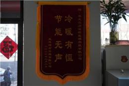 分享力诺新能源管理水平、资金实力，与同行比劣势分析