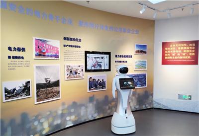 揭秘自动讲解机器人服务，哪家便宜又好用，如何选择