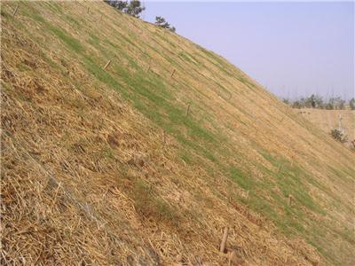 热议银川地区环保草毯售后无忧的企业，选购时怎么收费