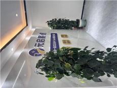 揭秘元启星途可以信任吗，专业程度决定信任度