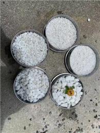 剖析靠谱的白石米厂家，如何选购到性价比高的产品？