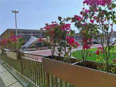 宝鸡塑木栈道哪家好