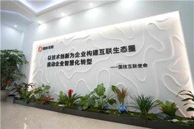 深聊本地GEO优化哪家有优惠，为你揭秘专业公司的选择方法