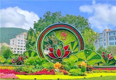 解惑不错的立体花坛公司，如何选择性价比高的品牌