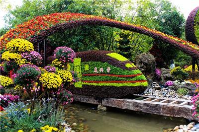 剖析知名的立体花坛公司，商业中心立体花坛怎么收费