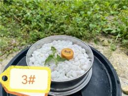 总结白云石源头厂家，性价比高，怎么选择