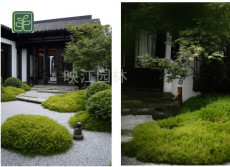 保康县别墅庭院施工方案