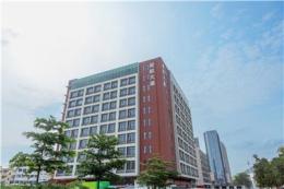 说说远和国际货运，专业程度和市场口碑如何选择？