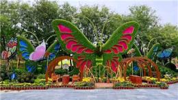 探寻资质齐全的立体花坛公司，立体花坛五色草设计费用多少