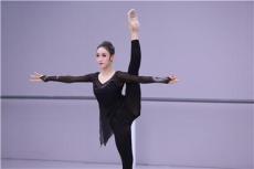 归纳北京能解决行业考官审美疲劳问题的舞蹈艺考培训机构，选哪家？