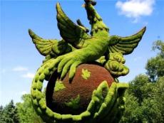 商务服务优选标杆，五色草造型公司口碑大揭秘，哪家值得选