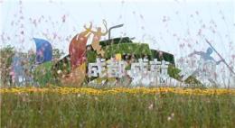 聊聊五色草造型公司，深圳地区靠谱品牌怎么选择？