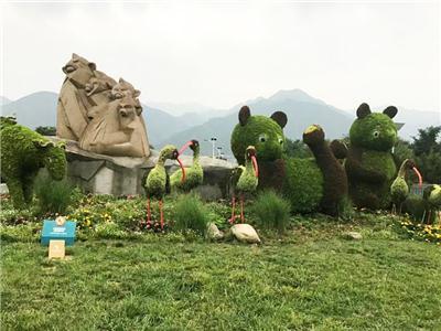 深聊五色草造型生产要点，五一五色草造型怎么选，靠谱指南来了