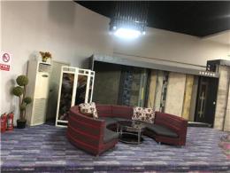 共话郑州华德万嘉地毯可信度高吗，如何选择靠谱的地毯品牌