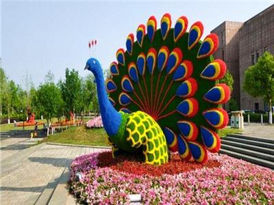 商务服务优选标杆，解读市政五色草造型费用情况