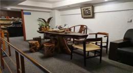 剖析嵊泗青年旅行社，研发能力、线路设计与线下门店分布揭秘