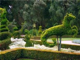 建筑装饰植物雕塑好选择，详析仿真植物雕塑源头厂家及优质公司