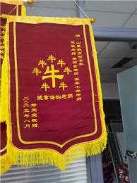 深聊哈尔滨教师编制和教资培训品牌，哪家比较靠谱？