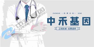 回民区亲子鉴定最新收费标准是多少