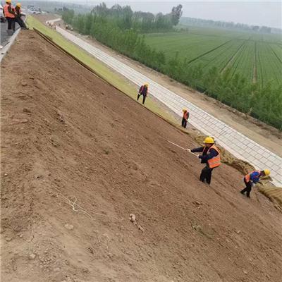 探讨有实力的边坡绿化草毯加工厂，哪家价格实惠值得选