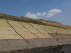 热议生态型矿山修复环保草毯，哪个品牌好用且价格实惠？