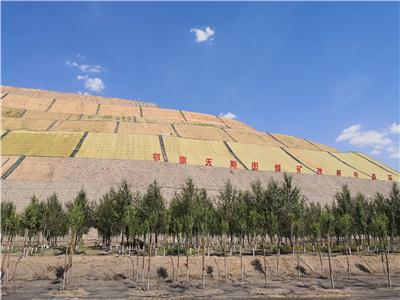 2026年靠谱的矿山生态修复环保草毯品牌推荐，哪家性价比高？