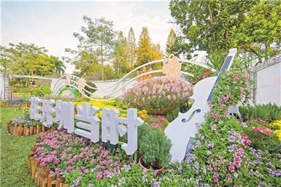 分享靠谱的菊花展览经验，传统菊花展方案选哪家比较靠谱