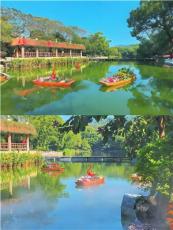 菊花展览施工干货大揭秘，为你推荐靠谱的菊花展搭建方案