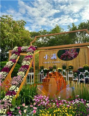 畅享菊韵时光，景区菊花展、传统菊花展开启，资质齐全值得一看