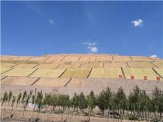 提炼性价比高的矿山修复环保草毯批量定制厂家，哪家好？